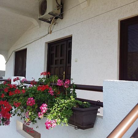 Apartman Tripkovic 巴尔 外观 照片
