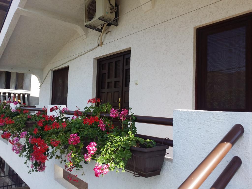Apartman Tripkovic 巴尔 外观 照片